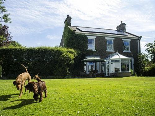 Dowfold House Bed And Breakfast クルック エクステリア 写真